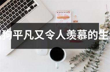 属狗平凡又令人羡慕的生活