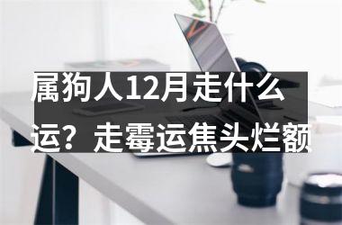 <h3>属狗人12月走什么运？走霉运焦头烂额