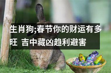 生肖狗;春节你的财运有多旺  吉中藏凶趋利避害