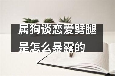 属狗谈恋爱劈腿是怎么暴露的