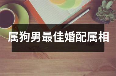 属狗男佳婚配属相