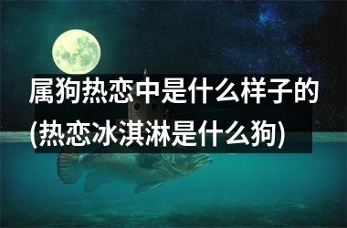 属狗热恋中是什么样子的(热恋冰淇淋是什么狗)