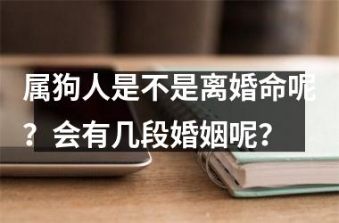 属狗人是不是离婚命呢？会有几段婚姻呢？