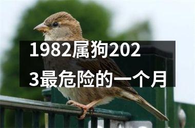 <h3>1982属狗2025危险的一个月