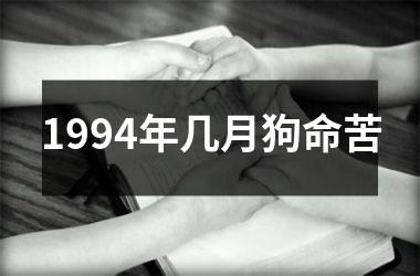 1994年几月狗命苦