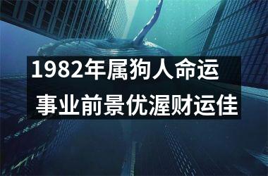 1982年属狗人命运 事业前景优渥财运佳