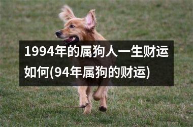 1994年的属狗人一生财运如何(94年属狗的财运)