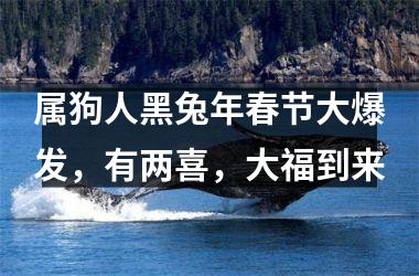 属狗人黑兔年春节大爆发，有两喜，大福到来