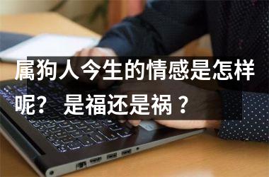 属狗人今生的情感是怎样呢？ 是福还是祸 ？