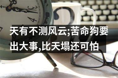 天有不测风云;苦命狗要出大事,比天塌还可怕