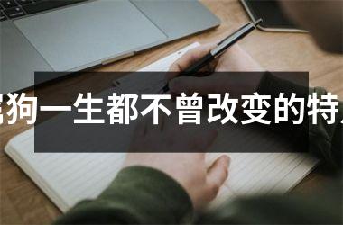 属狗一生都不曾改变的特点