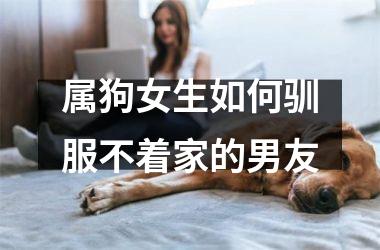 属狗女生如何驯服不着家的男友