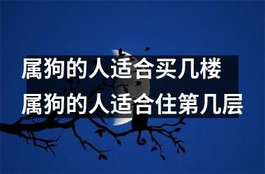 属狗的人适合买几楼 属狗的人适合住第几层