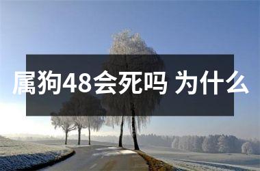 属狗48会死吗 为什么