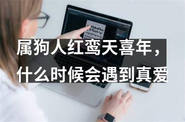 属狗人红鸾天喜年，什么时候会遇到真爱