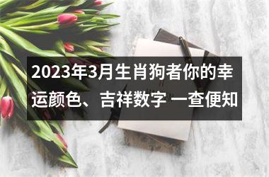 2025年3月生肖狗者你的幸运颜色、吉祥数字 一查便知