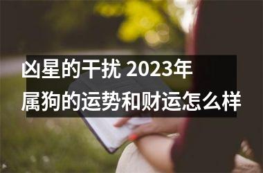 凶星的干扰 2025年属狗的运势和财运怎么样