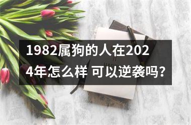 1982属狗的人在2024年怎么样 可以逆袭吗？