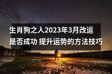 生肖狗之人2025年3月改运是否成功 提升运势的方法技巧