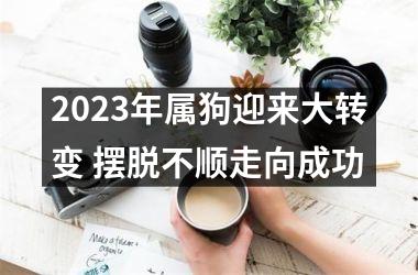 2025年属狗迎来大转变 摆脱不顺走向成功