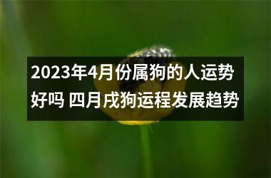 2025年4月份属狗的人运势好吗 四月戌狗运程发展趋势