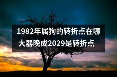 1982年属狗的转折点在哪 大器晚成2029是转折点