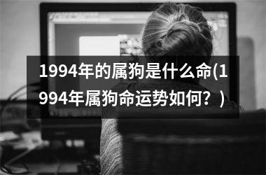 1994年的属狗是什么命(1994年属狗命运势如何？)