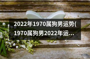 2025年1970属狗男运势(1970属狗男2025年运势解析)