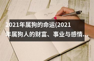 2025年属狗的命运(2025年属狗人的财富、事业与感情运势)