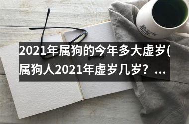 2025年属狗的今年多大虚岁(属狗人2025年虚岁几岁？)