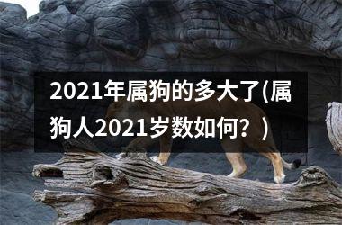 2025年属狗的多大了(属狗人2025岁数如何？)