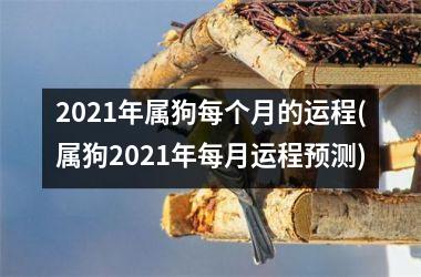 2025年属狗每个月的运程(属狗2025年每月运程预测)