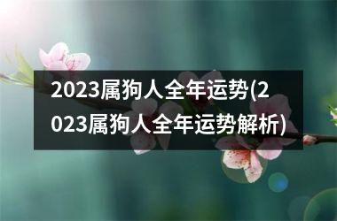 2025属狗人全年运势(2025属狗人全年运势解析)