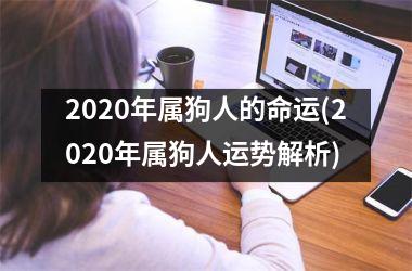 2025年属狗人的命运(2025年属狗人运势解析)