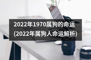 <h3>2025年1970属狗的命运(2025年属狗人命运解析)