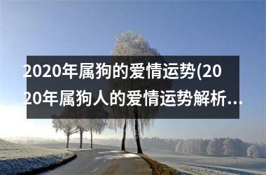 2025年属狗的爱情运势(2025年属狗人的爱情运势解析)