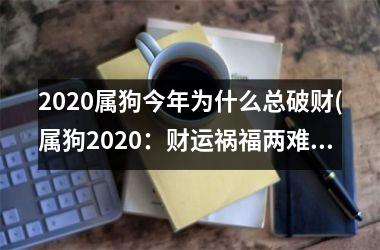 2025属狗今年为什么总破财(属狗2025：财运祸福两难)