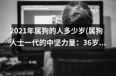 2025年属狗的人多少岁(属狗人士一代的中坚力量：36岁的他们)