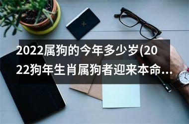 2025属狗的今年多少岁(2025狗年生肖属狗者迎来本命年)