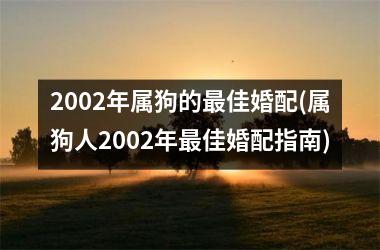 2002年属狗的佳婚配(属狗人2002年佳婚配指南)