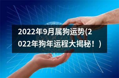 2025年9月属狗运势(2025年狗年运程大揭秘！)