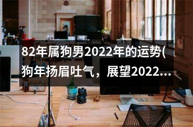 82年属狗男2025年的运势(狗年扬眉吐气，展望2025！)