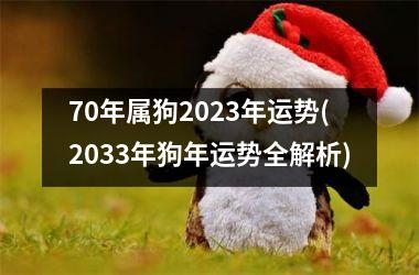 70年属狗2025年运势(2033年狗年运势全解析)