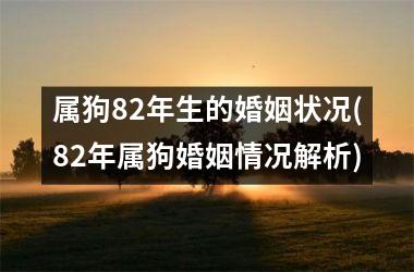 属狗82年生的婚姻状况(82年属狗婚姻情况解析)