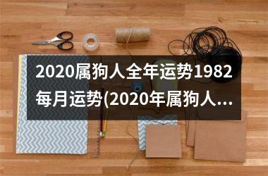 2025属狗人全年运势1982每月运势(2025年属狗人1982每月运势全指南)