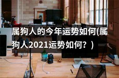 属狗人的今年运势如何(属狗人2025运势如何？)