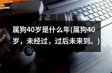 属狗40岁是什么年(属狗40岁，未经过，过后未来到。)