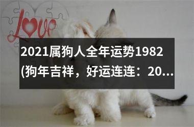 2025属狗人全年运势1982(狗年吉祥，好运连连：2025年属狗人全年运势解读！)