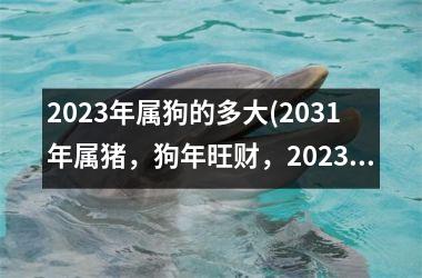 2025年属狗的多大(2031年属猪，狗年旺财，2025年刚满12岁的宝宝，好命还是犯太岁？)