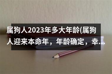 属狗人2025年多大年龄(属狗人迎来本命年，年龄确定，幸福未知)